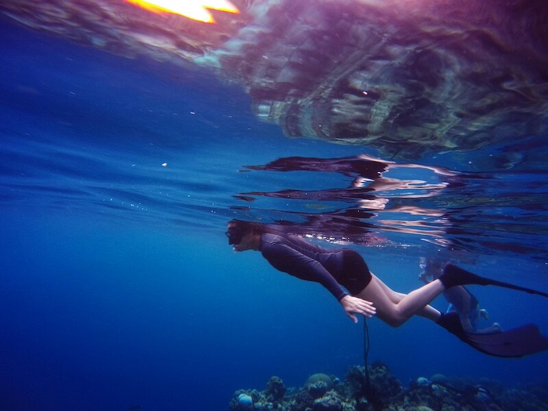 Swimming Wetsuit